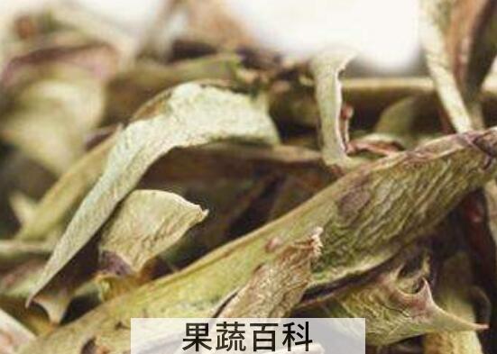 干芦荟叶的功效与作用