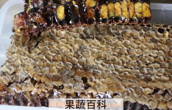 怎样鉴别黑蜂巢蜜 黑蜂巢蜜的真假辨别