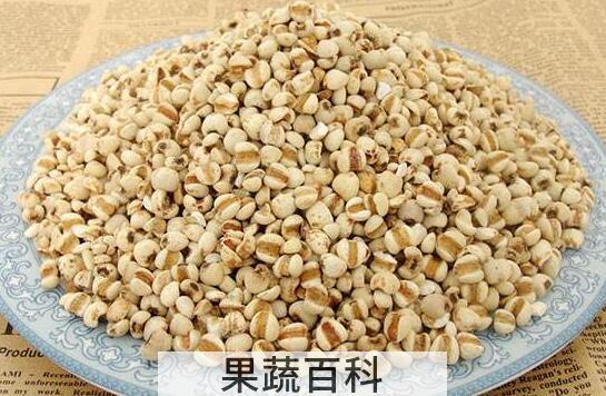 米仁的功效与作用 米仁的食用方法