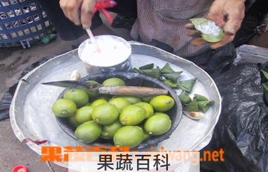 果蔬百科槟榔