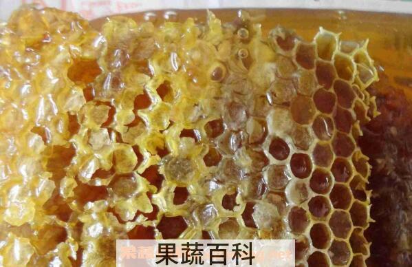 黑蜂巢蜜的作用与功效及食用方法