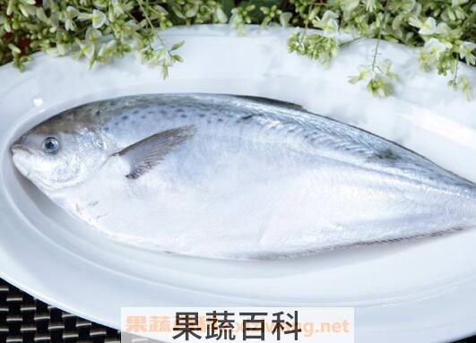白鲳鱼怎么做好吃 白鲳鱼的家常做法