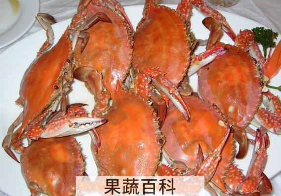 螃蟹怎么保存 螃蟹保鲜的方法技巧