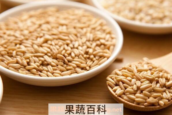 胚芽米的功效与作用