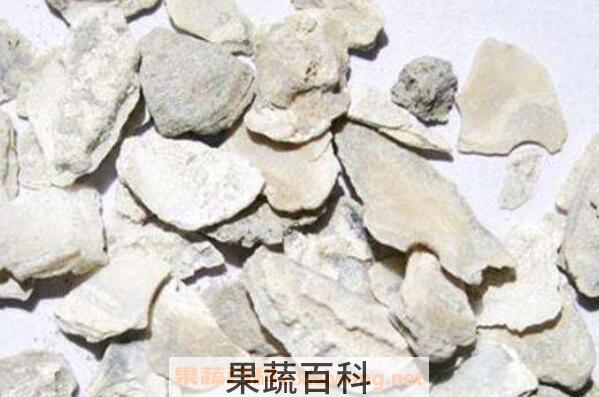 龙骨牡蛎的功效与作用