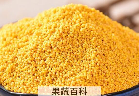  小黄米的功效与作用