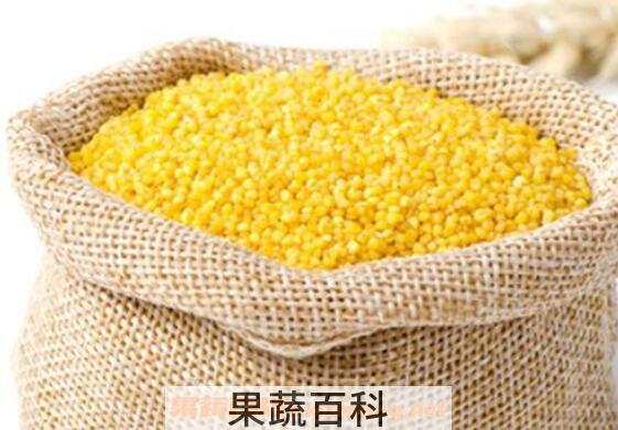  小黄米的功效与作用