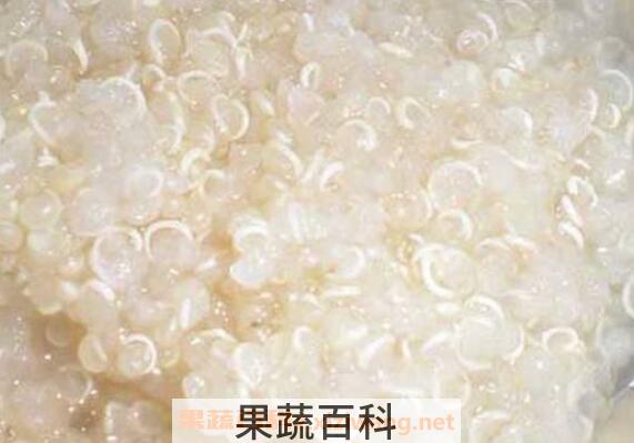 藜麦的功效与作用