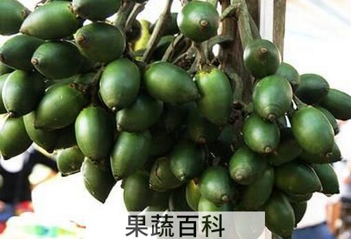 果蔬百科吃槟榔为什么会出汗
