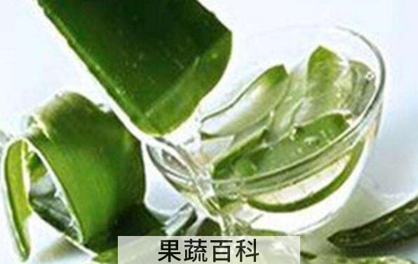 芦荟怎么美容 用芦荟美容的方法技巧教程