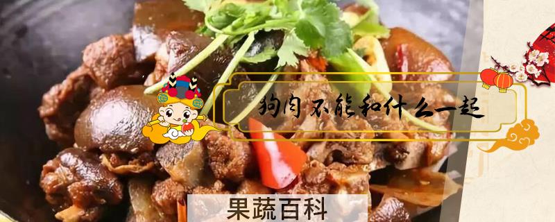 狗肉不能和什么一起
