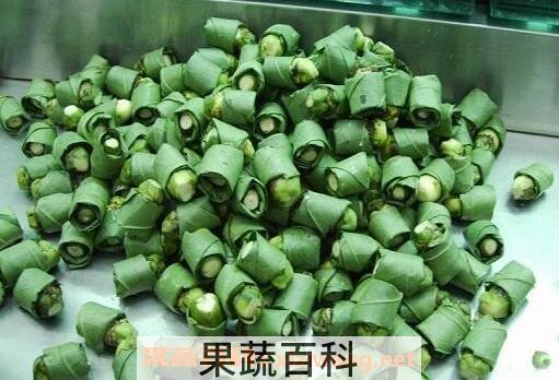 常吃槟榔的危害有哪些
