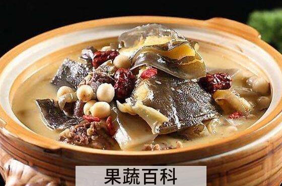 甲鱼的功效与作用及禁忌