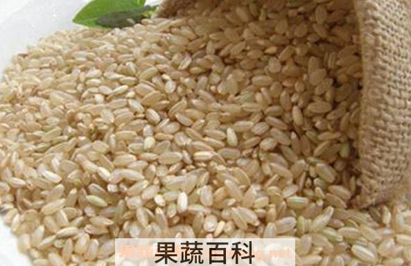 糙米的功效与作用及食用方法