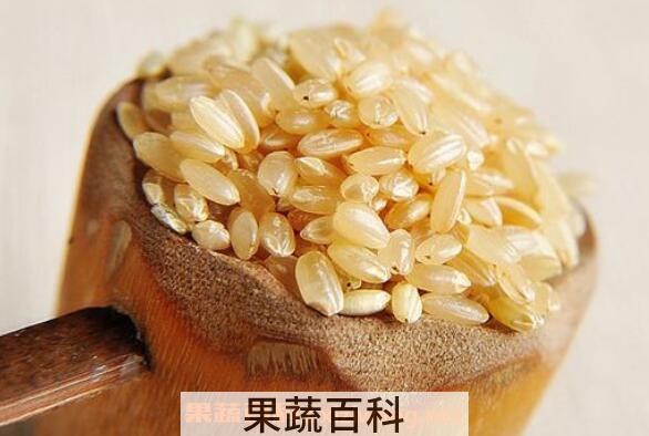 糙米的功效与作用及食用方法