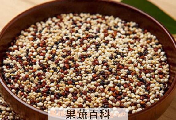 三色藜麦的功效与作用