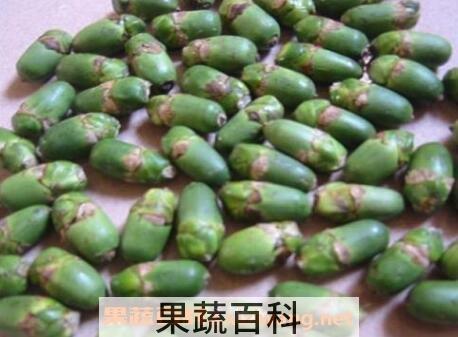 槟榔有什么作用 槟榔的危害