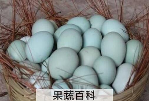 鸡蛋和乌鸡蛋的区别营养 吃鸡蛋的好处