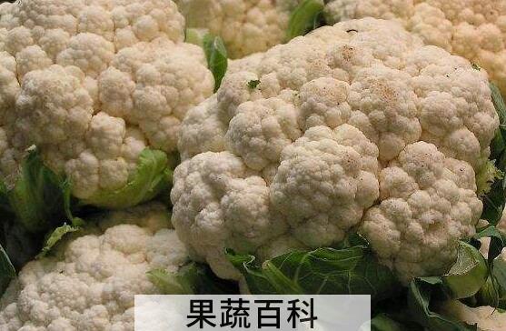 青花菜和白花菜的区别 青花菜的吃法
