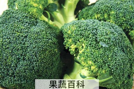 青花菜怎么炒好吃窍门