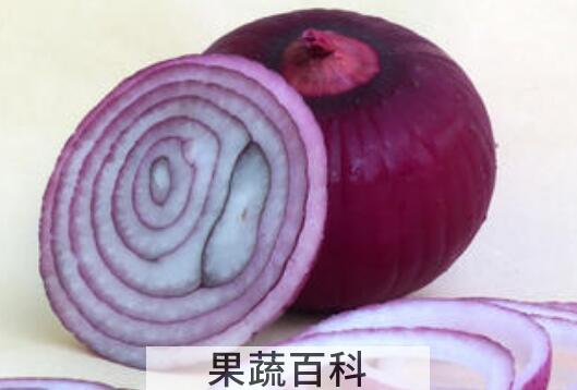 紫圆葱泡醋起什么作用