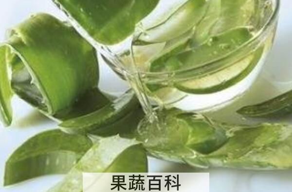 新鲜芦荟涂脸正确方法 新鲜的芦荟的作用