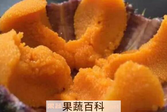 海胆怎么做好吃 海胆的家常做法大全