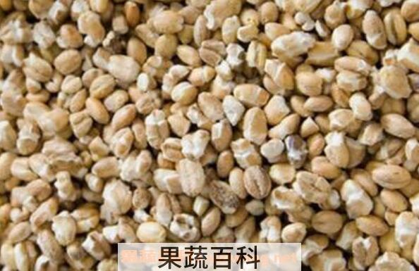 青稞米的功效与作用