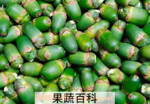 槟榔果的药用价值