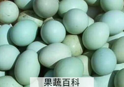 乌鸡蛋的功效与禁忌