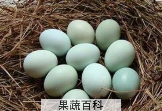 乌鸡蛋的功效与禁忌