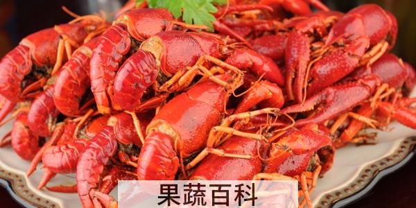 虾有几种
