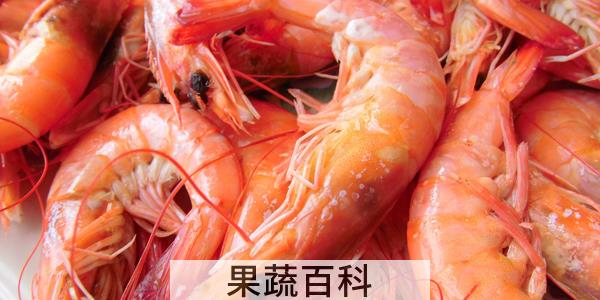 虾有几种
