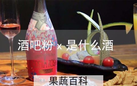 酒吧粉x是什么酒