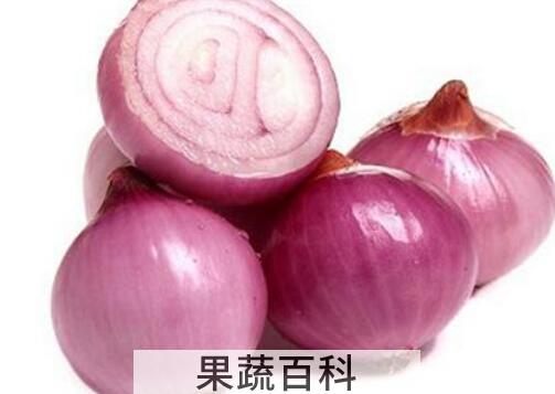哪三类人不能吃洋葱 吃洋葱的禁忌
