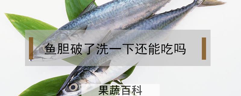 鱼胆破了洗一下还能吃吗