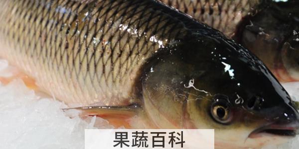鱼胆破了洗一下还能吃吗