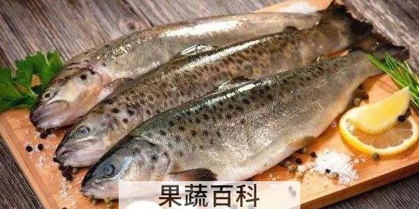 鱼胆破了洗一下还能吃吗