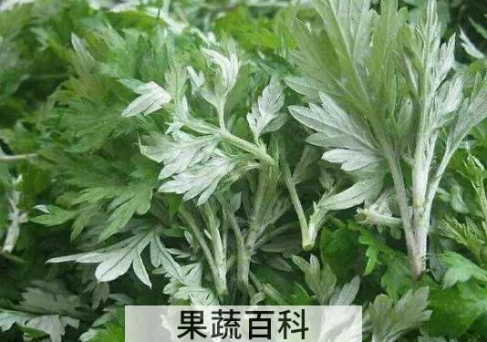 吃野蒿子有什么好处