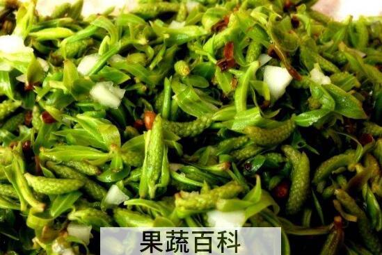 凉拌柳芽的功效与作用