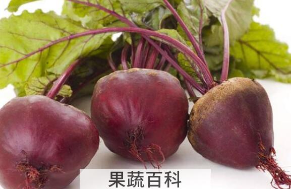 甜菜碱的功效与作用 甜菜碱的副作用