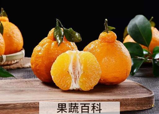 丑橘的营养价值 丑橘的功效与作用