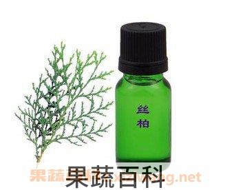 丝柏精油的功效与作用