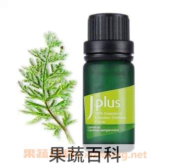 丝柏精油的功效与作用