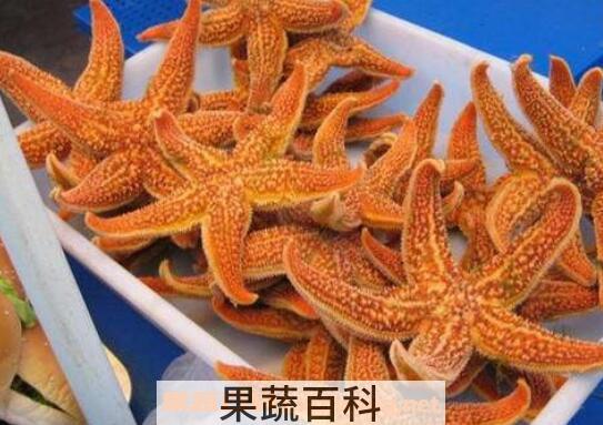 干海星的功效与作用