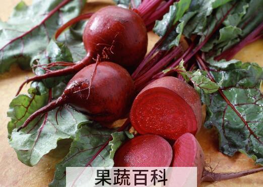 甜菜头的功效与作用 甜菜头的禁忌