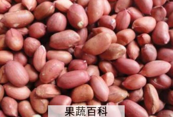 生花生泡水的功效与作用