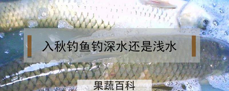 入秋钓鱼钓深水还是浅水