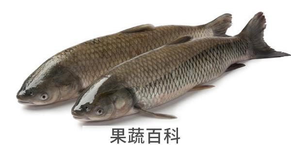 入秋钓鱼钓深水还是浅水