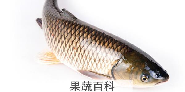 入秋钓鱼钓深水还是浅水